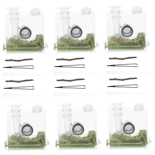 TOYANDONA 2 Sätze Reptilien Zuchtbox aus Transparentem mit Belüftungslöchern Kleines Gehege für Springspinnen und Insekten Praktische Futter und Haltungslösung für Terrarientiere TOYANDONA 2 Sätze Reptilien Zuchtbox aus Transparentem mit Belüftungslöchern Kleines Gehege für Springspinnen und Insekten Praktische Futter und Haltungslösung für Terrarientiere von TOYANDONA