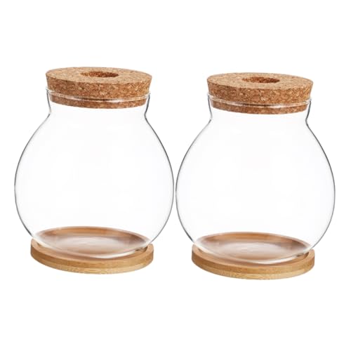 TOYANDONA 2 Sets Pflanzenanzuchtstation, Tischpflanzen-Terrarium, Hydrokulturvasen Aus Glas, Wasserpflanzen-anzuchtgläser Mit Bambustablett Für Frauen, Mütter Und Pflanzenliebhaber von TOYANDONA