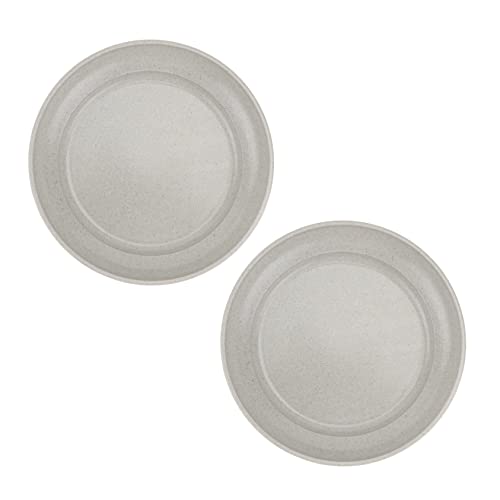 TOYANDONA 2 Stück Blumentopf Tablett blumenkübel untersetzer blumentopfuntersetzer Raupengehege-Terrarium Samen groß zimmerpflanzen Wasserschale Blumentopfplatte aus Kunststoff Plastik Grey von TOYANDONA