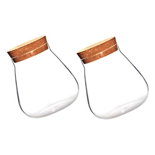 TOYANDONA 2 Stück Flasche Aus Korkglas Vorratsflasche Mikro-landschaftsglas Mikrolandschaft Terrarium Klares Terrarium Ökologisches Glas Dekorative Leere Vase Glasvase Hausbedarf Holz Brown von TOYANDONA