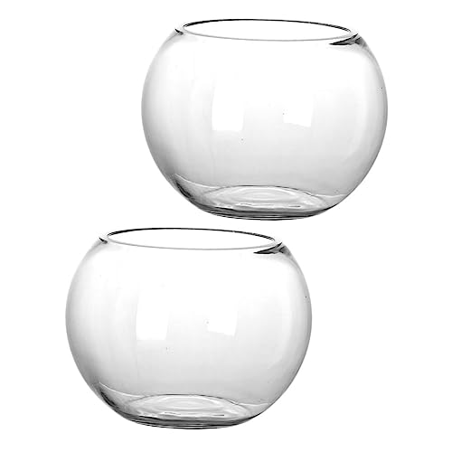 TOYANDONA 2 Stück Glasfischtank fleischig Pflanzenbehälter LED Pflanzgefäße für Zimmerpflanzen drinnen Moosbehälter Mikro-Landschaftsflasche Desktop -Glas -Terrarium Zubehör für Terrarien von TOYANDONA