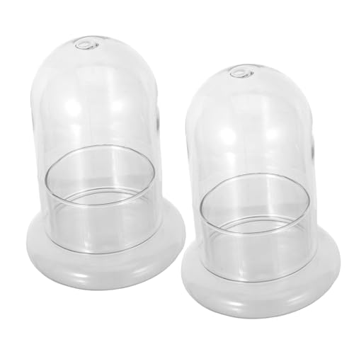 TOYANDONA 2 Stück Glasflasche für Landschaften Hochwertige Borosilikat Glasflasche für DIY Terrarien und Garten Dekorationen Pflanzen und Moos von TOYANDONA