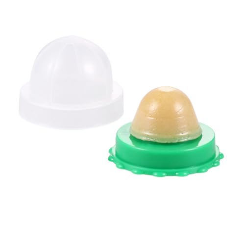 TOYANDONA 2 Stück Katzenminze Lutschball Snack für Katzen und Kätzchen Natürlicher Katzensnack mit Vitaminen Fördert Appetit und Verdauung mit Hygienischer Transparenter Abdeckung von TOYANDONA