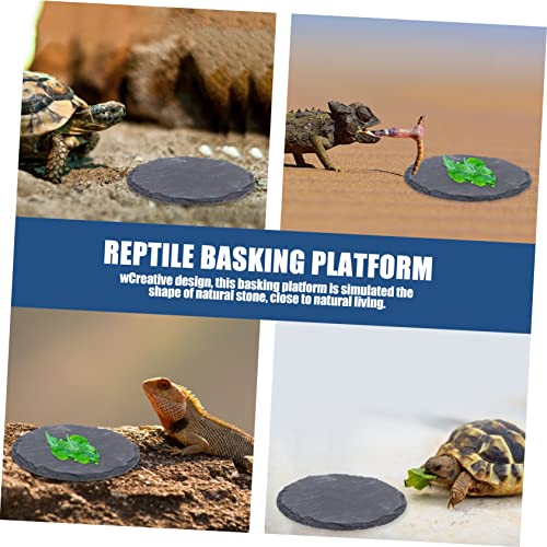 TOYANDONA 2 Stück Natürliche Reptilien Sonnenplattform Stein Unpolierte Futter und Badeplatte für Schildkröten Eidechsen Geckos und Schlangen Robustes Terrarium Zubehör mit Originaler TOYANDONA 2 Stück Natürliche Reptilien Sonnenplattform Stein Unpolierte Futter und Badeplatte für Schildkröten Eidechsen Geckos und Schlangen Robustes Terrarium Zubehör mit Originaler von TOYANDONA