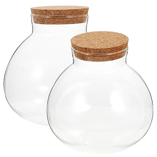 TOYANDONA 2 Stück Öko Flaschen Terrarium Durchsichtige Gläser Garten Outdoor Ökosystem Behälter Luftpflanzenhalter Mikro Landschafts Pflanzgefäß Flasche Sukkulente Rund Für TOYANDONA 2 Stück Öko Flaschen Terrarium Durchsichtige Gläser Garten Outdoor Ökosystem Behälter Luftpflanzenhalter Mikro Landschafts Pflanzgefäß Flasche Sukkulente Rund Für von TOYANDONA