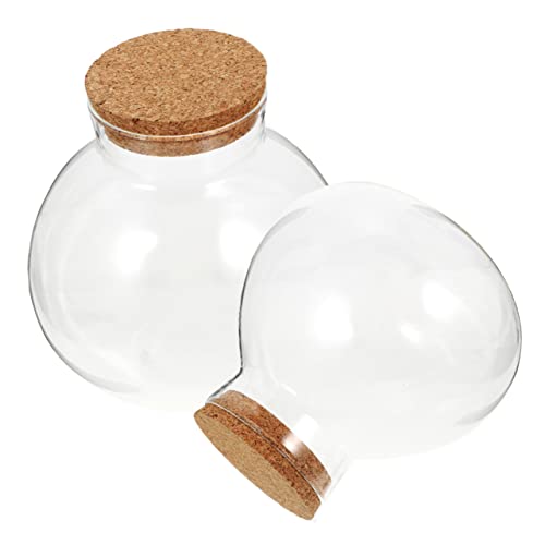 TOYANDONA 2 Stück Praktische Glaskugel Flasche für Landschaften Sphärisches Terrarium mit Korkverschluss für Dekoration und Aufbewahrung ohne Licht TOYANDONA 2 Stück Praktische Glaskugel Flasche für Landschaften Sphärisches Terrarium mit Korkverschluss für Dekoration und Aufbewahrung ohne Licht von TOYANDONA