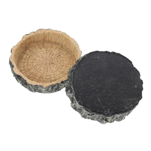 TOYANDONA 2 Stück Reptilien Futter Wasserschale Natürliche Farbe Stabile Futterschale mit Ausbruchsicherung für Schildkröten Echsen Terrarium Haustierfütterung TOYANDONA 2 Stück Reptilien Futter Wasserschale Natürliche Farbe Stabile Futterschale mit Ausbruchsicherung für Schildkröten Echsen Terrarium Haustierfütterung von TOYANDONA