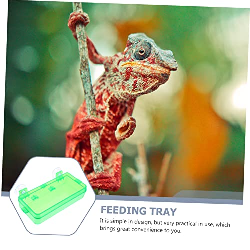 TOYANDONA 2 Stück Reptilien Futter und Wassernäpfe mit Saugnapf aus Robustem Transparentes Design Praktische Fütterungsbox für Terrarien Geeignet für Echsen Geckos und Kleine Reptilien TOYANDONA 2 Stück Reptilien Futter und Wassernäpfe mit Saugnapf aus Robustem Transparentes Design Praktische Fütterungsbox für Terrarien Geeignet für Echsen Geckos und Kleine Reptilien von TOYANDONA