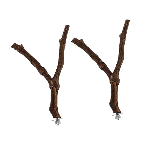 TOYANDONA 2 Stück Vogel Sitzstangen aus Natürlichem Holz für Papageien Kletterstangen für Käfige für Wellensittiche und Nymphensittiche zur Beschäftigung und Krallenpflege TOYANDONA 2 Stück Vogel Sitzstangen aus Natürlichem Holz für Papageien Kletterstangen für Käfige für Wellensittiche und Nymphensittiche zur Beschäftigung und Krallenpflege von TOYANDONA