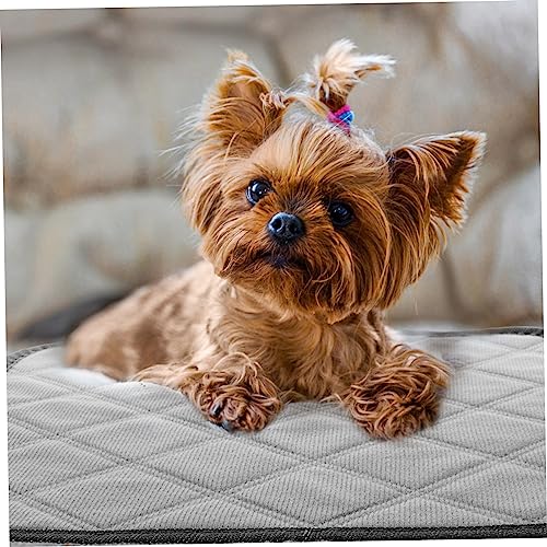 TOYANDONA 2 Stück Waschbare Wiederverwendbare Hundeurin Pads aus Saugfähig und Kompakt Geeignet als Käfigeinlage für Meerschweinchen und Kleine Hunde Praktische Trainingsmatte für TOYANDONA 2 Stück Waschbare Wiederverwendbare Hundeurin Pads aus Saugfähig und Kompakt Geeignet als Käfigeinlage für Meerschweinchen und Kleine Hunde Praktische Trainingsmatte für von TOYANDONA