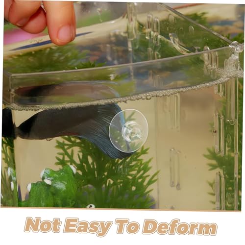 TOYANDONA 20stücke Aquarien-saugnäpfe Für Luftschläuche Verstellbare Kabelbinder Saugnapf-Clips Für Aquarien Kleine Saugnäpfe Für Leitungen Schläuche Und Dekorationen TOYANDONA 20stücke Aquarien-saugnäpfe Für Luftschläuche Verstellbare Kabelbinder Saugnapf-Clips Für Aquarien Kleine Saugnäpfe Für Leitungen Schläuche Und Dekorationen von TOYANDONA