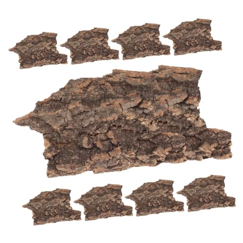 TOYANDONA 20 Stück Reptilien Terrarium Rinde Dekoration Hintergrund für Reptilien Natürliches Material für Terrarien Aquarien Fütterungsboxen S von TOYANDONA