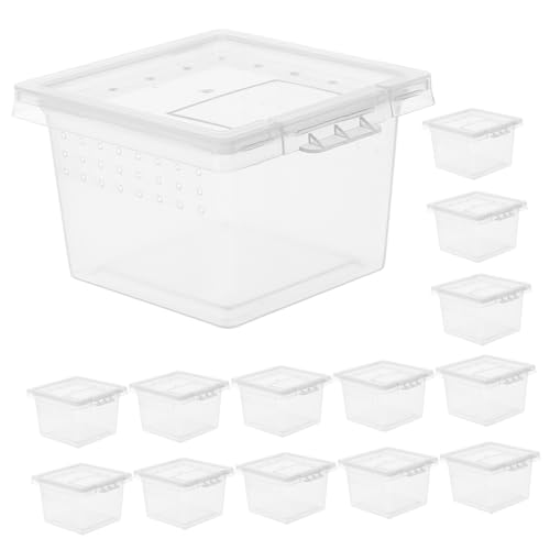 TOYANDONA 20 Stück Kunststoff Reptilienbox für Eidechsen und Insekten Transparentes Terrarium Tragbares Futterbehälter für Reptilienhaltung für Vogelspinnen Schlangen und Geckos TOYANDONA 20 Stück Kunststoff Reptilienbox für Eidechsen und Insekten Transparentes Terrarium Tragbares Futterbehälter für Reptilienhaltung für Vogelspinnen Schlangen und Geckos von TOYANDONA
