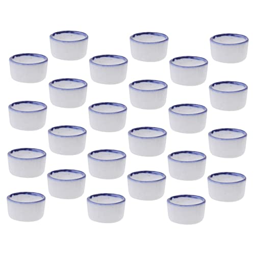TOYANDONA 24Stücke Mini Wasserschalen für Reptilien und Spinnen rutschfeste Futter und Trinkbecken für Skorpione und Kriechtiere zu Reinigen für Kleine TOYANDONA 24Stücke Mini Wasserschalen für Reptilien und Spinnen rutschfeste Futter und Trinkbecken für Skorpione und Kriechtiere zu Reinigen für Kleine von TOYANDONA