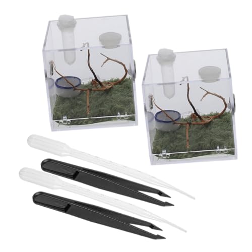 TOYANDONA 2Sätze Transparente Spinnenzuchtbox aus Insektenfütterungsbehälter für Springspinnen mit Zubehör und Langlebig für Haltung von Spinnen und Anderen von TOYANDONA