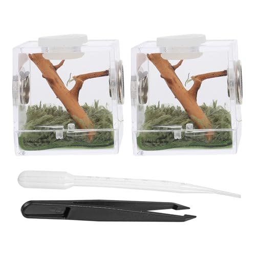 TOYANDONA 2Satz Insektenkäfig für Springspinnen Teiliges Belüftete Habitat Box mit Vollständiger Sicht für Pflege und Zucht Kleiner Haustiere Transparentes Design für Optimale TOYANDONA 2Satz Insektenkäfig für Springspinnen Teiliges Belüftete Habitat Box mit Vollständiger Sicht für Pflege und Zucht Kleiner Haustiere Transparentes Design für Optimale von TOYANDONA