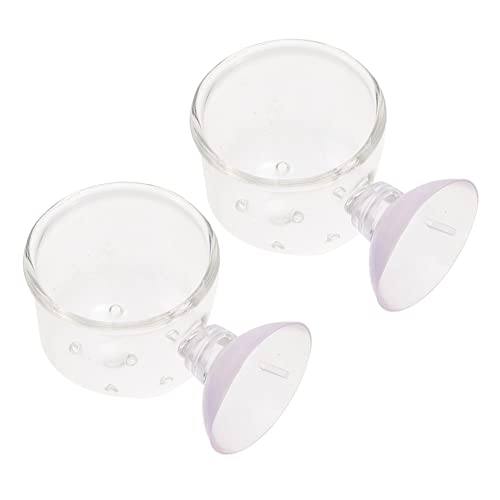 TOYANDONA 2Stücke Blutwurm Fütterungswerkzeug für Aquarien Klarer Lebensmittelhalter mit Saugnapf Halterung zu Reinigen und Langlebig für Fischfutter TOYANDONA 2Stücke Blutwurm Fütterungswerkzeug für Aquarien Klarer Lebensmittelhalter mit Saugnapf Halterung zu Reinigen und Langlebig für Fischfutter von TOYANDONA
