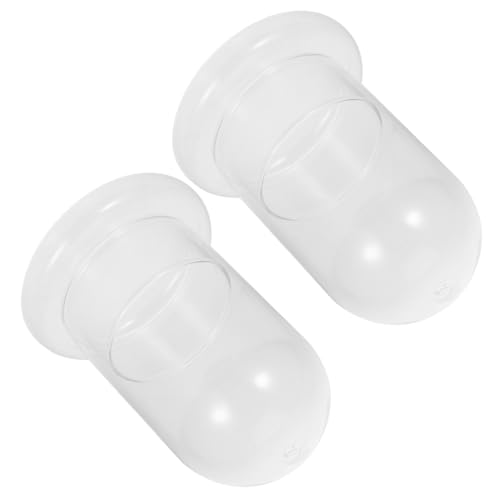 TOYANDONA 2Stücke Glaslandschaftsflasche Ökologische Flasche Für Dekoration DIY Terrarium Für Pflanzen Für Sukkulenten Und Moosgestaltung von TOYANDONA