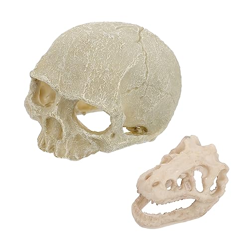 TOYANDONA 2Stücke Harz Aquarium Schädel Kreatives Aquariendekor Für Fischbecken Halloween Stil Unique Skull Design Wasserfreundlich von TOYANDONA