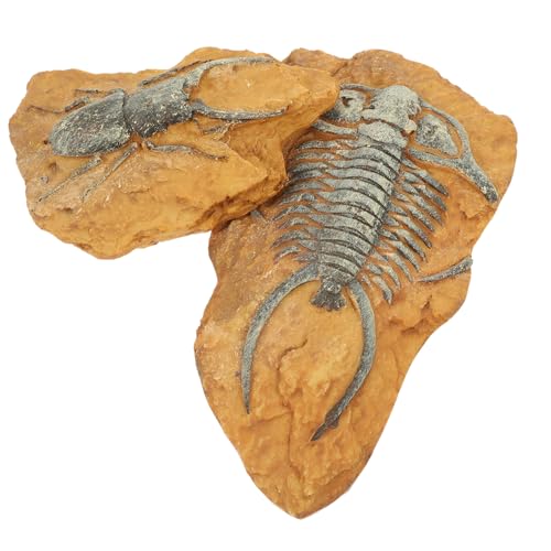 TOYANDONA 2Stücke Kreative Reptil Terrarium Dekorationen Fossilien Boxen aus Hochwertigem Harz für Schildkröten und Andere Reptilien TOYANDONA 2Stücke Kreative Reptil Terrarium Dekorationen Fossilien Boxen aus Hochwertigem Harz für Schildkröten und Andere Reptilien von TOYANDONA