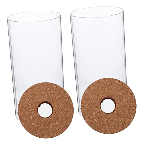 TOYANDONA 2Stücke Micro Landschaft Flasche Hochborosilikatglas DIY Moos Pflanzenbehälter Für Dekoration Innen Und Außenbereichen Mit Staubschutzdeckel von TOYANDONA