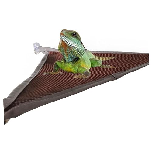 TOYANDONA 2Stücke Reptilienhängematte Für Haustiere Hängematte Komfortables Schlafbett Für Kleine Hochwertiges Und Langlebiges Für Reptilien Und Kleintiere von TOYANDONA