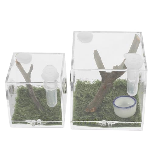 TOYANDONA 2Stücke Transparente Brutkästen für Springspinnen Insektenbox mit Futteröffnung Atmungsaktives Design für Haltung und Pflege von Spinnen Großes von TOYANDONA