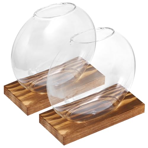 TOYANDONA 2sätze Glas Pflanzenhalter Für Topfpflanzen Hängendes Glaspflanzgefäß Glasvase Für Pflanzen Zur Heimdekoration Mit Basis Klar Für Kleine Pflanzen TOYANDONA 2sätze Glas Pflanzenhalter Für Topfpflanzen Hängendes Glaspflanzgefäß Glasvase Für Pflanzen Zur Heimdekoration Mit Basis Klar Für Kleine Pflanzen von TOYANDONA