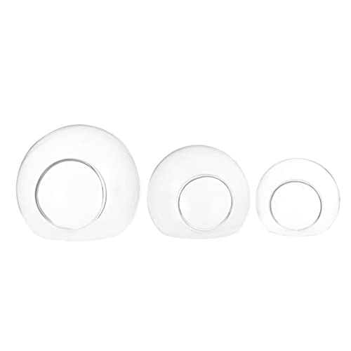 TOYANDONA 3 Stück Glas Wandbehang Für Aquarienpflanzen Terrarienvasen Glasterrarium Heimdekor Terrariumbehälter Terrariumhalter Transparentes Borosilikatglas von TOYANDONA