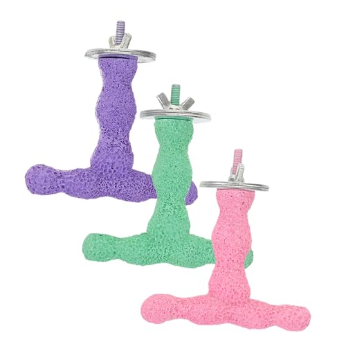 TOYANDONA 3 Stück Papageien Sitzstange Förmiger Krallen Schleifstab aus Naturmaterial Kaubeständig Fördert Bewegung und Krallenpflege für Kleine und Mittelgroße Vögel Einfach zu Montieren TOYANDONA 3 Stück Papageien Sitzstange Förmiger Krallen Schleifstab aus Naturmaterial Kaubeständig Fördert Bewegung und Krallenpflege für Kleine und Mittelgroße Vögel Einfach zu Montieren von TOYANDONA