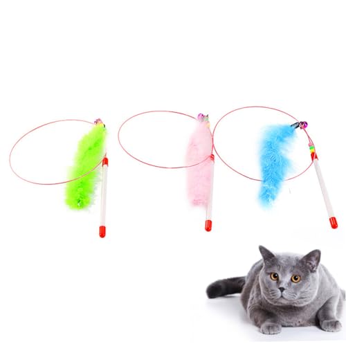 TOYANDONA 3 Stück Teiliges Katzenspielzeug aus Draht mit Buntem Kunststoffgriff Interaktiver Federstab mit Glöckchen Langlebig und Flexibel für Spielerisches Katzenflirten Zufällige Farbe TOYANDONA 3 Stück Teiliges Katzenspielzeug aus Draht mit Buntem Kunststoffgriff Interaktiver Federstab mit Glöckchen Langlebig und Flexibel für Spielerisches Katzenflirten Zufällige Farbe von TOYANDONA