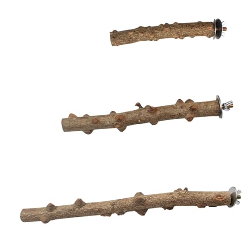 TOYANDONA 3 Stück Teiliges Papageien Kletterstand aus Naturholz Stabiler Vogelstand mit Rauer Oberfläche zur Krallenpflege Fußmassage und Sicherem für Papageien und Kleine Vögel im Käfig von TOYANDONA