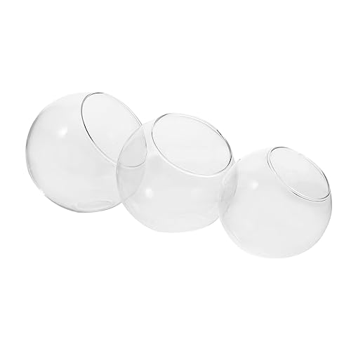 TOYANDONA 3 Stück Teiliges Terrarium Glasflaschen mit Schrägem Mund DIY Landschaftsflasche für Moos Dekorative Flasche für Einzigartige Pflanzenarrangements von TOYANDONA