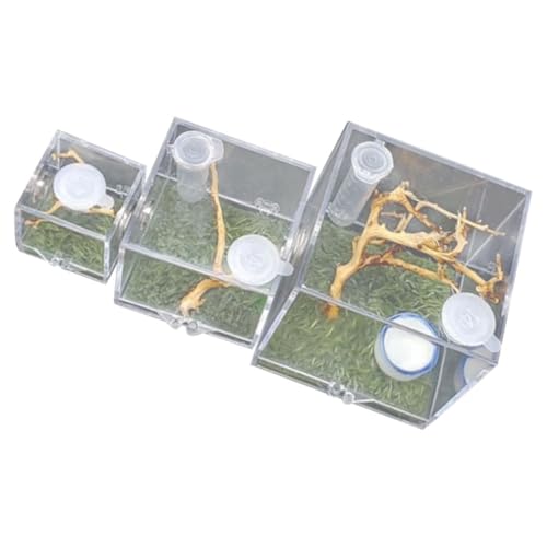 TOYANDONA 3 Stücke Spinne Zucht Kasten Transparente Futterbox für Springspinnen mit Belüftungslöchern und Hygrometer Geeignet für Insekten und Kleine Reptilien von TOYANDONA