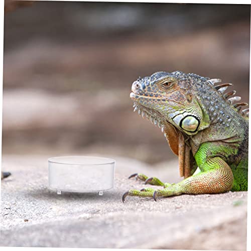 TOYANDONA 30 Stück Teiliges Transparentes Reptiliennapf aus Rutschfestes Futter und Wassernapf Geeignet für Schildkröten Geckos Chamäleons Echsen Schlangen und Spinnen im Terrarium TOYANDONA 30 Stück Teiliges Transparentes Reptiliennapf aus Rutschfestes Futter und Wassernapf Geeignet für Schildkröten Geckos Chamäleons Echsen Schlangen und Spinnen im Terrarium von TOYANDONA