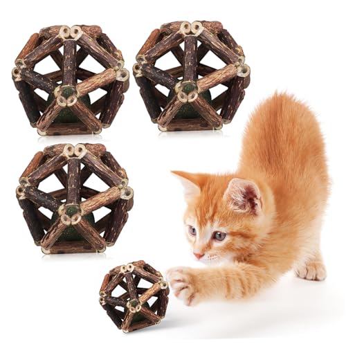 TOYANDONA 4 Stück Spielzeugschleifenstäbchen Zähne Katzenfischkugel Backenzahn Katzenbälle Drinnen Katzenspielzeug Kätzchen Polygonum Holz von TOYANDONA