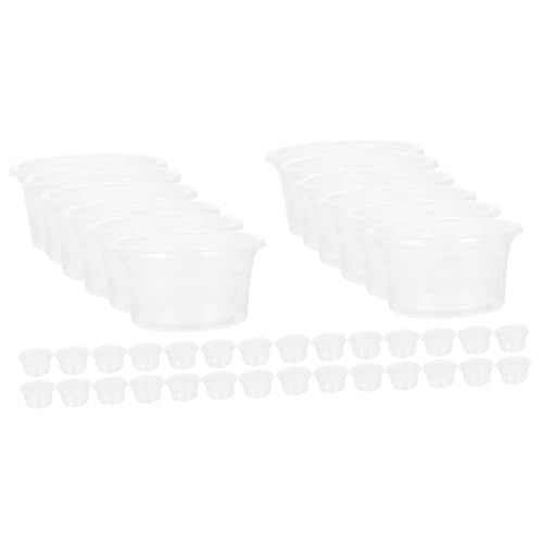 TOYANDONA 40 Stück Transparente Reptilien Futternäpfe Verschleißfeste Wasserschalen Kompakte Futter und Wasserschalen für Gecko Schildkröte und Andere Kleintiere TOYANDONA 40 Stück Transparente Reptilien Futternäpfe Verschleißfeste Wasserschalen Kompakte Futter und Wasserschalen für Gecko Schildkröte und Andere Kleintiere von TOYANDONA
