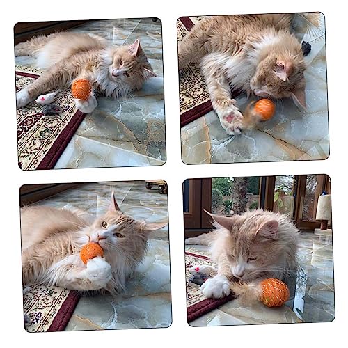 TOYANDONA 4Stücke Katzenspielzeug Mit Buntem Federball Und Spielzeugröhre Für Katzen Teiliges Langlebiges Katzentraining Mit Interaktivem Spaß Für Gesunde Bewegung TOYANDONA 4Stücke Katzenspielzeug Mit Buntem Federball Und Spielzeugröhre Für Katzen Teiliges Langlebiges Katzentraining Mit Interaktivem Spaß Für Gesunde Bewegung von TOYANDONA
