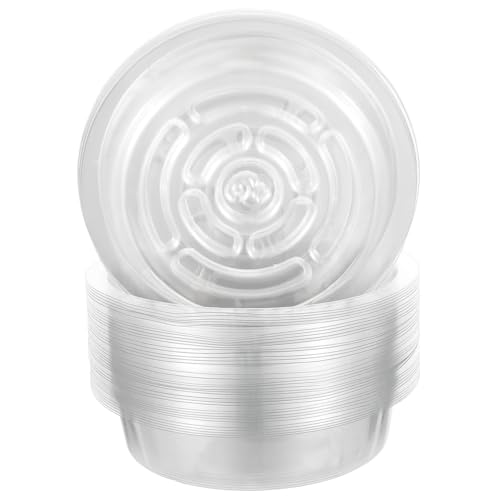 TOYANDONA 50 Stück Untersetzer Transparent Pflanztopf Unterlage für Pflanzenpflege mit Erhöhten Rändern und Rutschfester Textur TOYANDONA 50 Stück Untersetzer Transparent Pflanztopf Unterlage für Pflanzenpflege mit Erhöhten Rändern und Rutschfester Textur von TOYANDONA