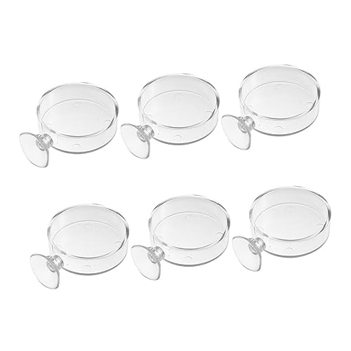 TOYANDONA 6 Stück Futterdish für Aquarien Teiliges mit Saugnapf Transparente Futterbehälter für Garnelen und Fische und Langlebig für Gesundes Füttern TOYANDONA 6 Stück Futterdish für Aquarien Teiliges mit Saugnapf Transparente Futterbehälter für Garnelen und Fische und Langlebig für Gesundes Füttern von TOYANDONA