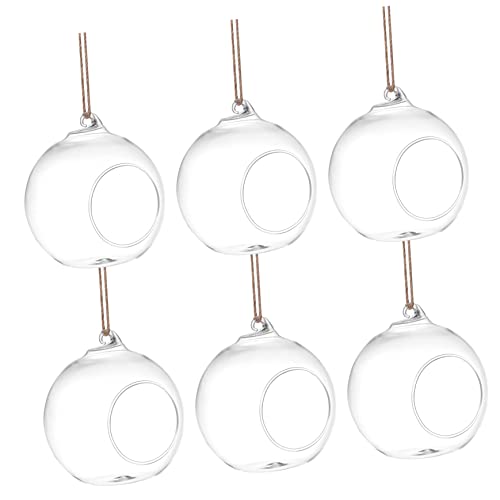 TOYANDONA 6 Stück Hydroponische Glasvase Halter Solar- Tür Terrarienglas groß Gitter nachhaltige Living Room Decoration pflanzengestell glasbehälter hängendes Terrarium Hängevase Hanfseil von TOYANDONA