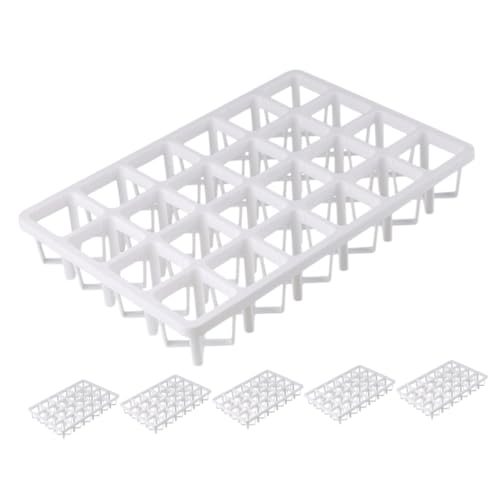 TOYANDONA 6 Stück Teiliges Pflanzenkeimung Rack Topf Halterung für Gartenbewässerung Atmungsaktive Sämlingstöpfe Stabiler und Langlebiger Pflanzbehälter mit Löchern TOYANDONA 6 Stück Teiliges Pflanzenkeimung Rack Topf Halterung für Gartenbewässerung Atmungsaktive Sämlingstöpfe Stabiler und Langlebiger Pflanzbehälter mit Löchern von TOYANDONA