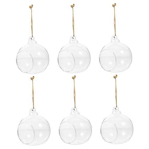 TOYANDONA 6Stücke Hängende Glasvase Kugelformige Hydroponische Pflanzenhalter Für Mikrolandschaften Transparente Deko Für Tischdekoration von TOYANDONA