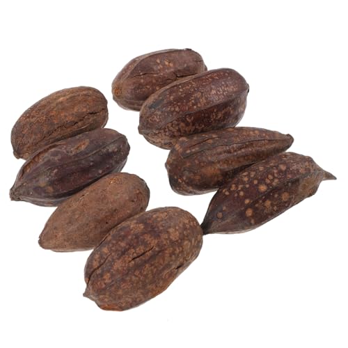 TOYANDONA 8 Stück Papageien Getrocknete Früchte Natürliches Kauspielzeug für Vögel Kleine Vogelspielzeuge zur Beschäftigung und Futterersuche für Wellensittiche und Papageien TOYANDONA 8 Stück Papageien Getrocknete Früchte Natürliches Kauspielzeug für Vögel Kleine Vogelspielzeuge zur Beschäftigung und Futterersuche für Wellensittiche und Papageien von TOYANDONA