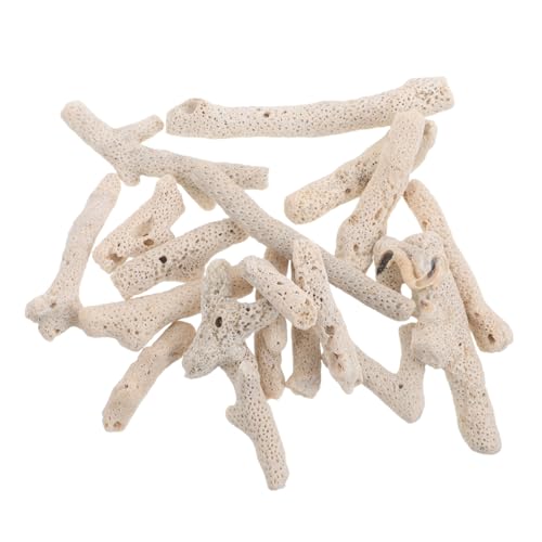 TOYANDONA Aquarienfiltermaterial Korallenstein Natürliche Filterfunktion Ph-stabilisierung Wasserreinigung Sauerstofffördernd für Süßwasser Meerwasseraquarien TOYANDONA Aquarienfiltermaterial Korallenstein Natürliche Filterfunktion Ph-stabilisierung Wasserreinigung Sauerstofffördernd für Süßwasser Meerwasseraquarien von TOYANDONA