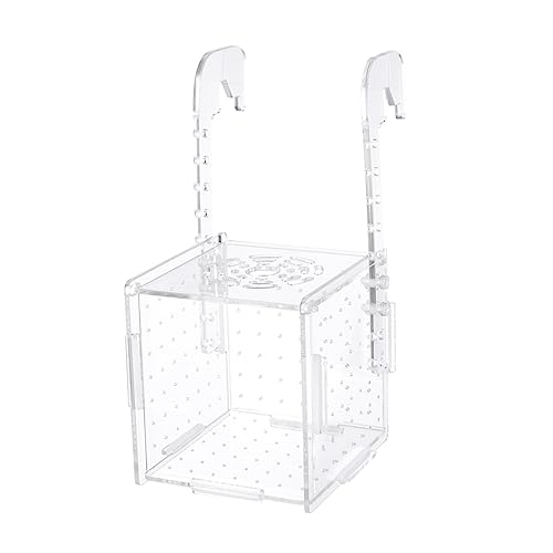 TOYANDONA Aquarium Brutkasten Transparent Fischzuchtbox mit Haken Aufzuchtbecken für Babyfische Isolationsbox zur Schonung und Schutz der Jungfische TOYANDONA Aquarium Brutkasten Transparent Fischzuchtbox mit Haken Aufzuchtbecken für Babyfische Isolationsbox zur Schonung und Schutz der Jungfische von TOYANDONA