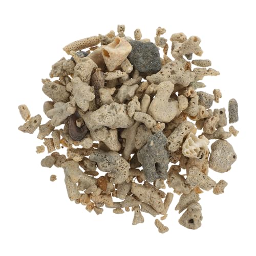 TOYANDONA Aquarium Filtermaterial Korallenkies Natürliche Filtration Dekoratives Korallensand für Süß und Verbessert Wasserqualität Geeignet für Aquarien von TOYANDONA