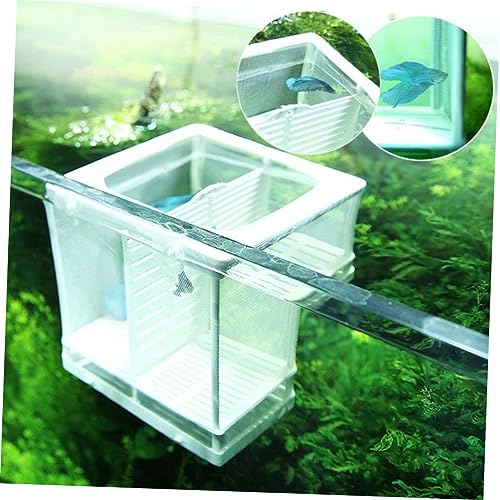 TOYANDONA Aquarium Fischnetz mit Trennwand und Saugnäpfen Kunststoffrahmen Fischbrut Inkubator zur Sicheren Aufzucht und Trennung Aggressiver und Schwacher Fische Vielseitig TOYANDONA Aquarium Fischnetz mit Trennwand und Saugnäpfen Kunststoffrahmen Fischbrut Inkubator zur Sicheren Aufzucht und Trennung Aggressiver und Schwacher Fische Vielseitig von TOYANDONA