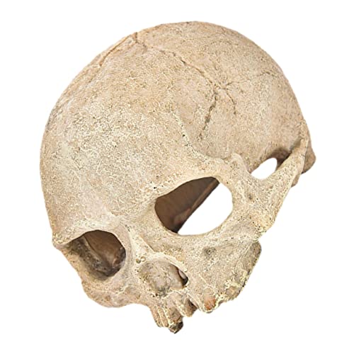 TOYANDONA Aquarium Skull Statue aus Langlebigem Harz Dekoration für Aquarien und Terrarien Bietet Versteckmöglichkeiten für Fische und Reptilien für Natürliche Wasserlandschaften von TOYANDONA