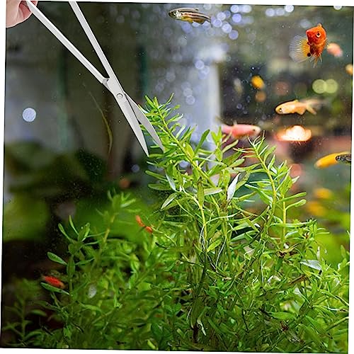 TOYANDONA Aquarium mit Multifunktion Schere und Pinzette Präzise Wasserpflanzenpflege Langlebig und Praktisch für Aquascaping Pflanzen Tragbar und Einfach zu Lagern von TOYANDONA